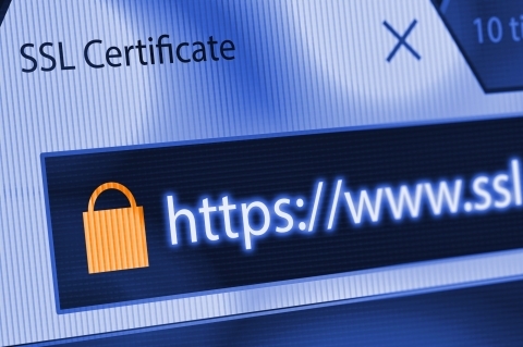 Fake Domains and Rogue Website Takedowns